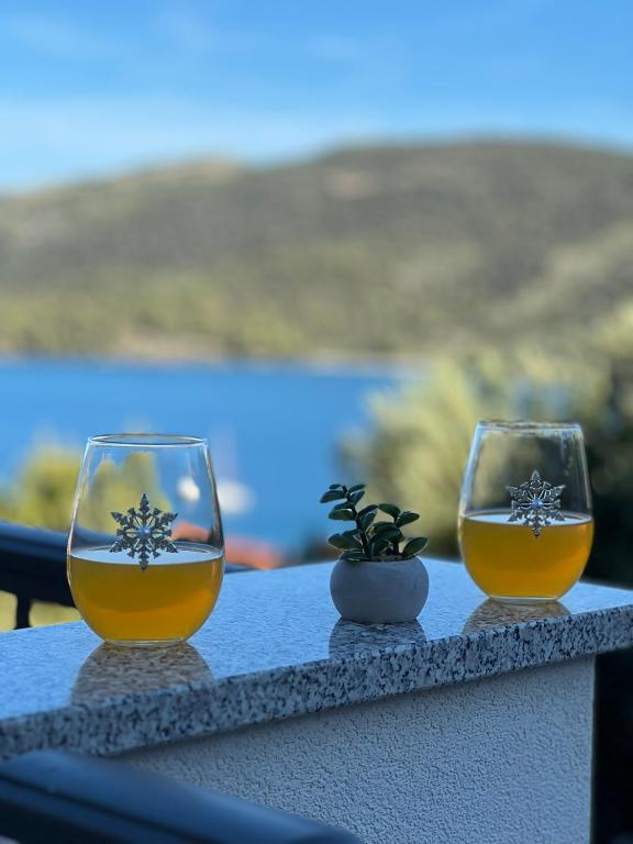 Príroda v okolí apartmánu