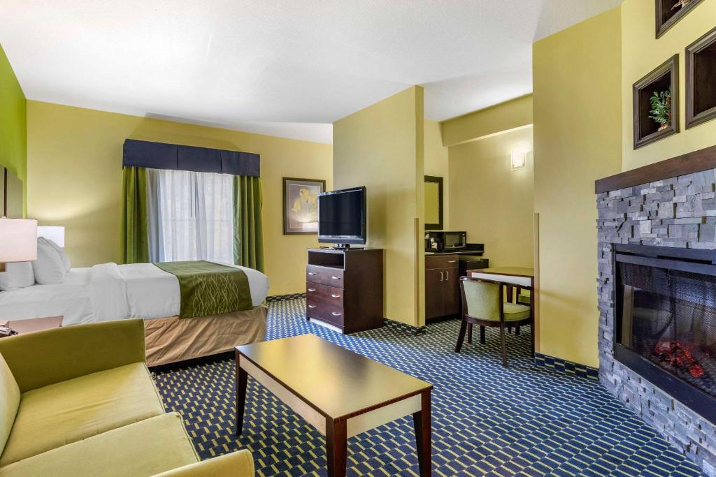 Comfort Inn Athens I - 75 - Suite King Business - Non Fumatori