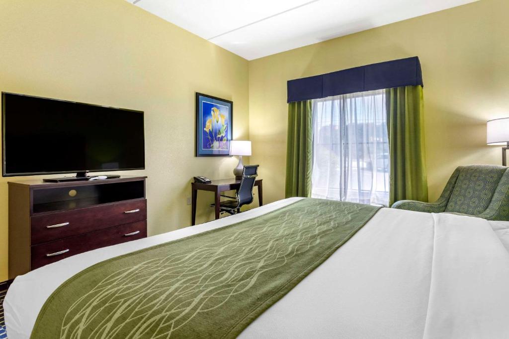Comfort Inn Athens I - 75 - Suite King - Non Fumatori