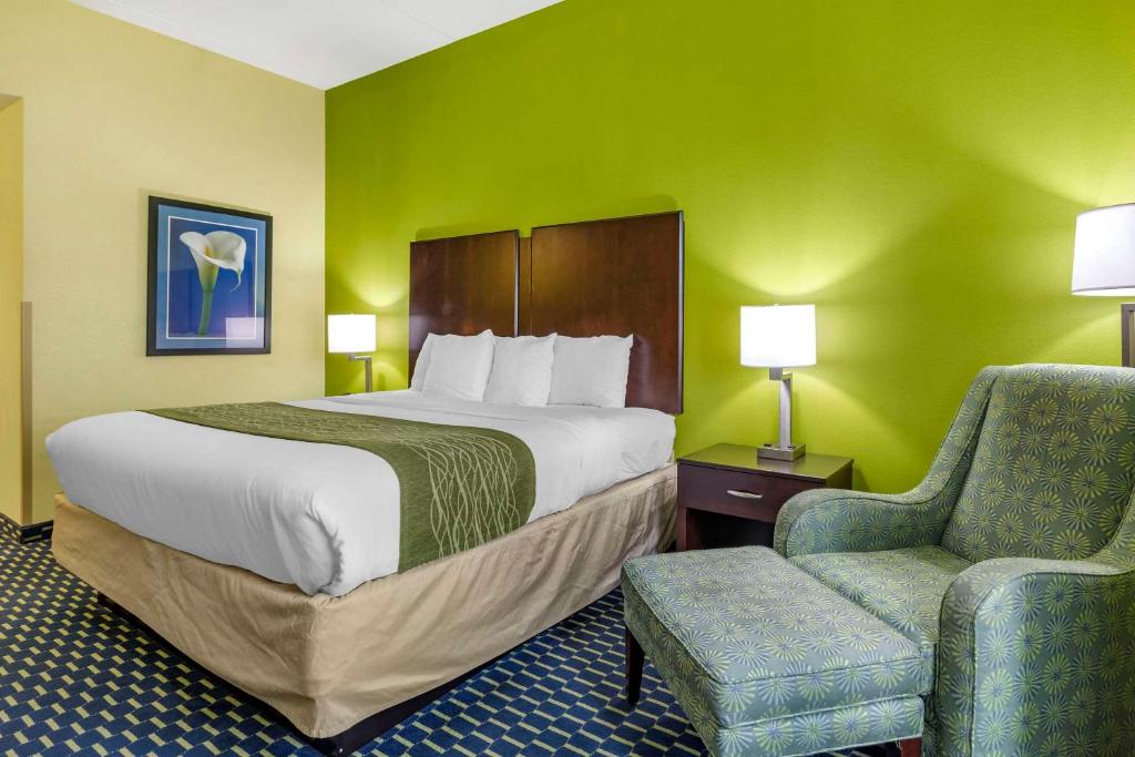 Comfort Inn Athens I - 75 - Camera King - Accesso Disabili/Non Fumatori