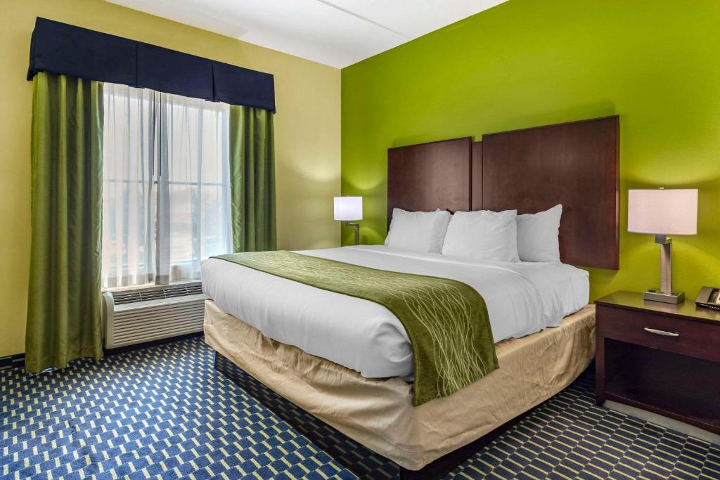 Comfort Inn Athens I - 75 - Suite King - Non Fumatori