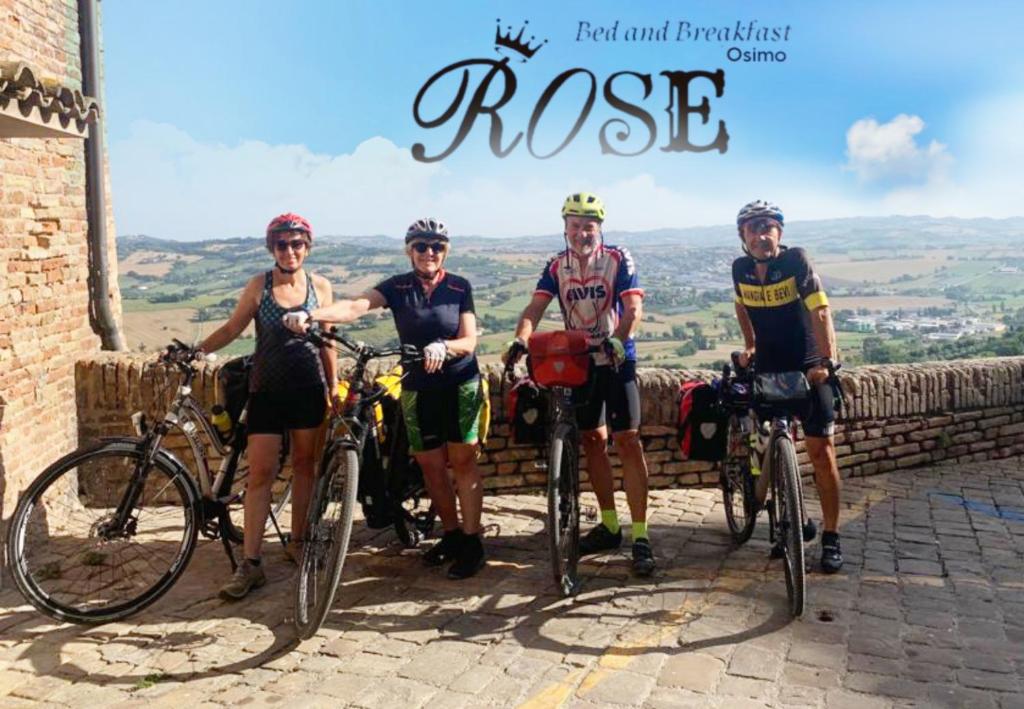 Jízda na kole v ubytování Affittacamere Osimo Rose nebo okolí