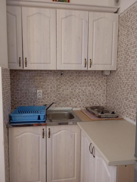 Virtuvė arba virtuvėlė apgyvendinimo įstaigoje Apartments Zenit