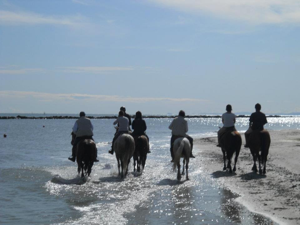 サビオ・ディ・ラヴェンナにあるAgriturismo Ca' Marinaの馬に乗る人々