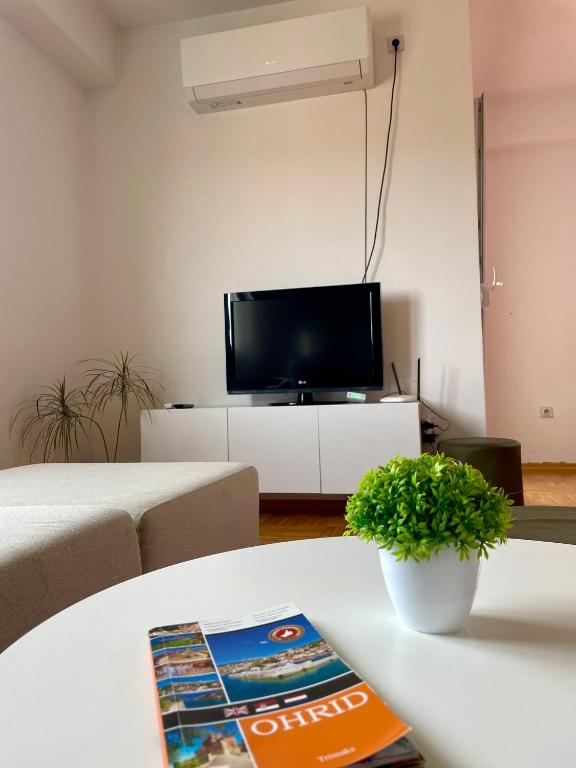 TV a/nebo společenská místnost v ubytování VELVET Apartment 5 minutes to center