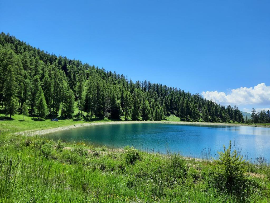 Un lac au milieu d'une forêt dans l'établissement Studio meublé montagne, à Saint-Léger-les-Mélèzes
