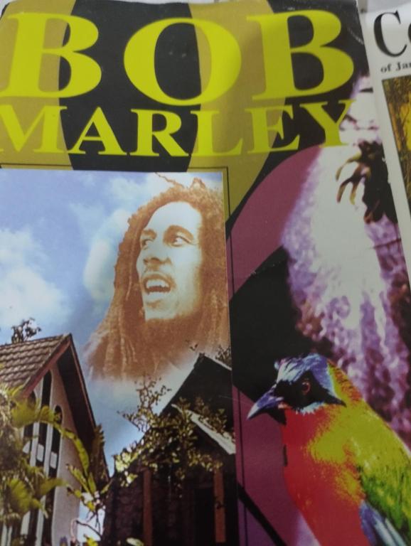 Fotografie z fotogalerie ubytování Bob Marley Peace hotel luxor v destinaci Luxor