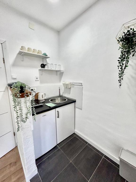 Kuchyň nebo kuchyňský kout v ubytování Studio apartments RAFAEL - 4 minutes to the beach