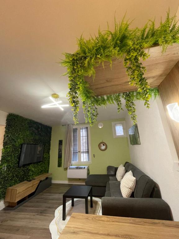 un salon avec un canapé et une télévision dans l'établissement Magnifique Appartement Avignon Intra-Muros, à Avignon