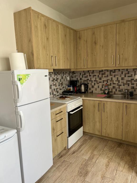 Kuchyň nebo kuchyňský kout v ubytování Asikiko Suites