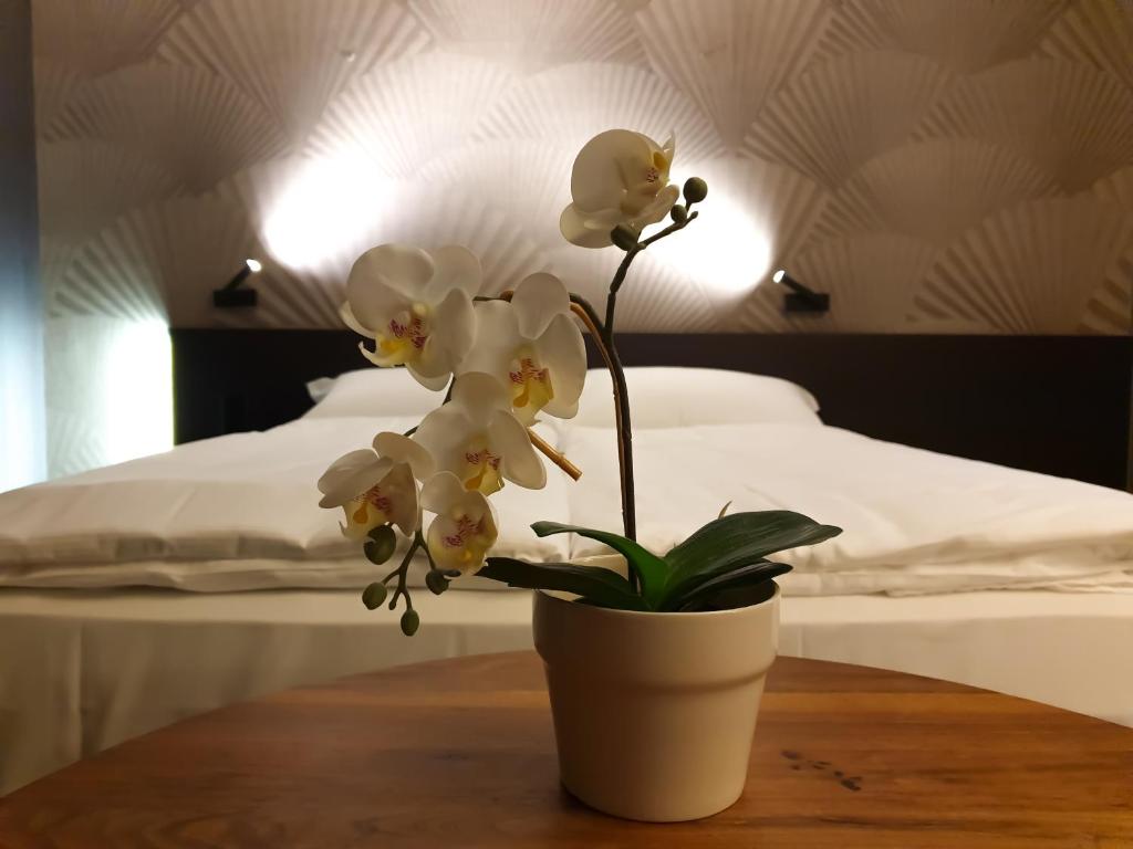 San Carlo Suite - Resim 18