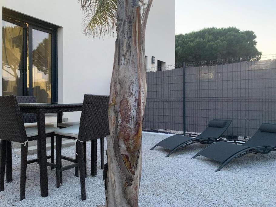 une table et des chaises à côté d'un palmier dans l'établissement l étoile de mer logement 4, à Sainte-Marie-la-Mer