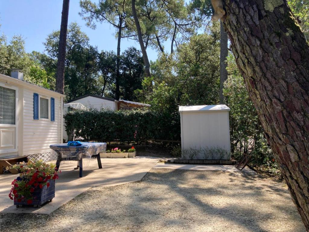 une arrière-cour avec une table de pique-nique et un arbre dans l'établissement Mobil Home 2 Chambre G26, à Saint-Georges-de-Didonne