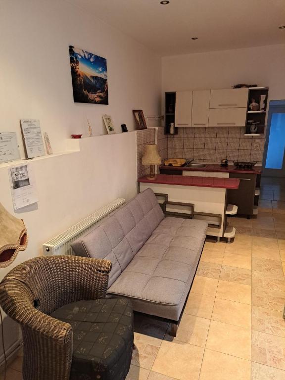 Kuchyň nebo kuchyňský kout v ubytování Pensiunea turistica Retreat Belvedere