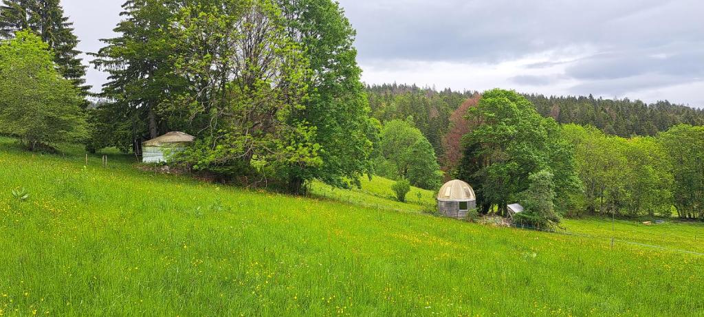Příroda nedaleko luxury tent