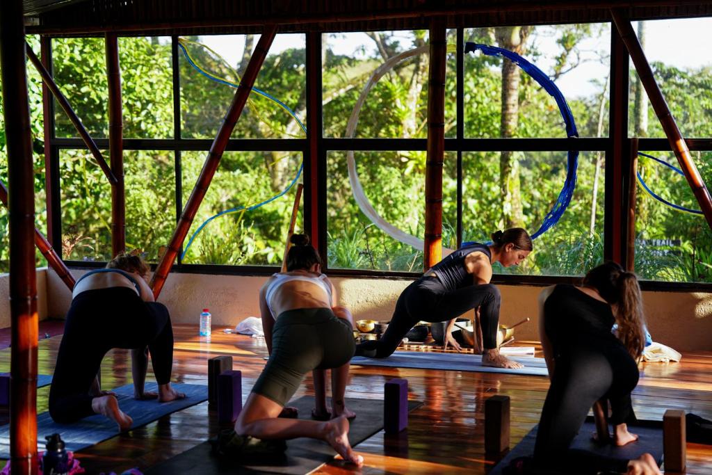 Hosté ubytování Essence Arenal Spa & Yoga