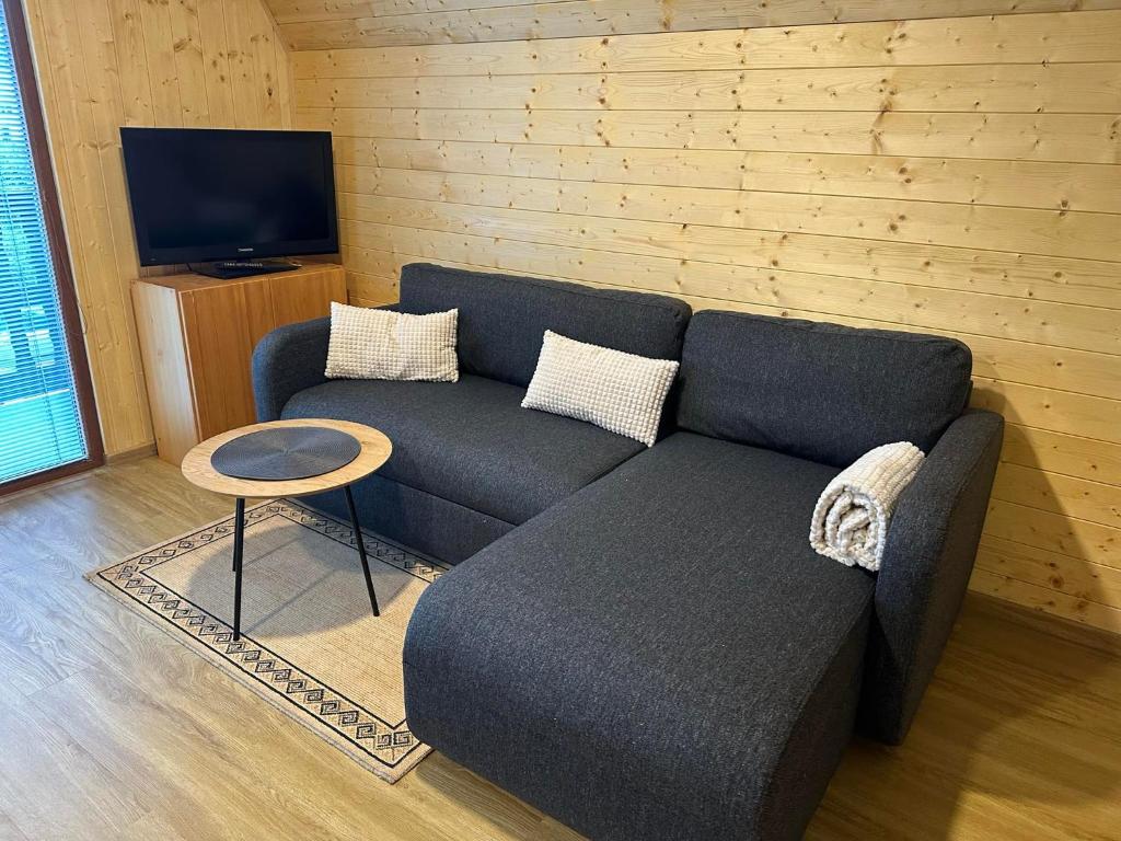 TV a/nebo společenská místnost v ubytování Chalet Galla