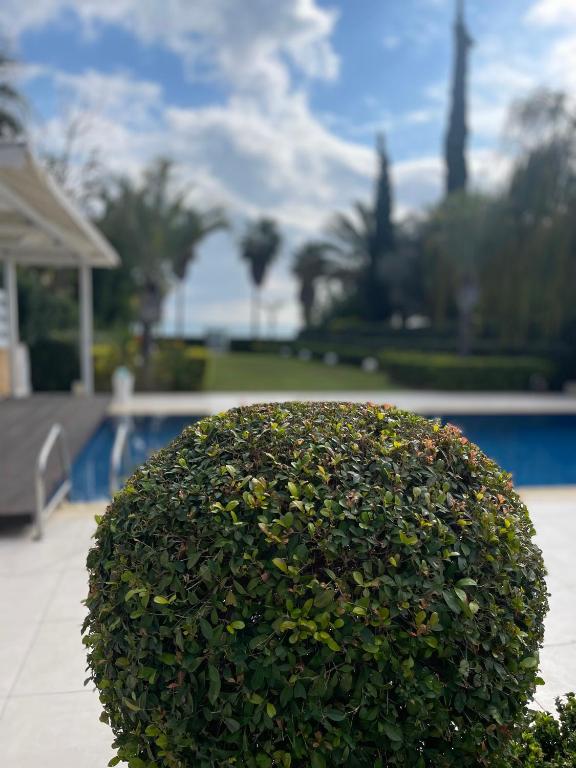 Bazén v ubytování Serenity Villa Mediterranean nebo v jeho okolí