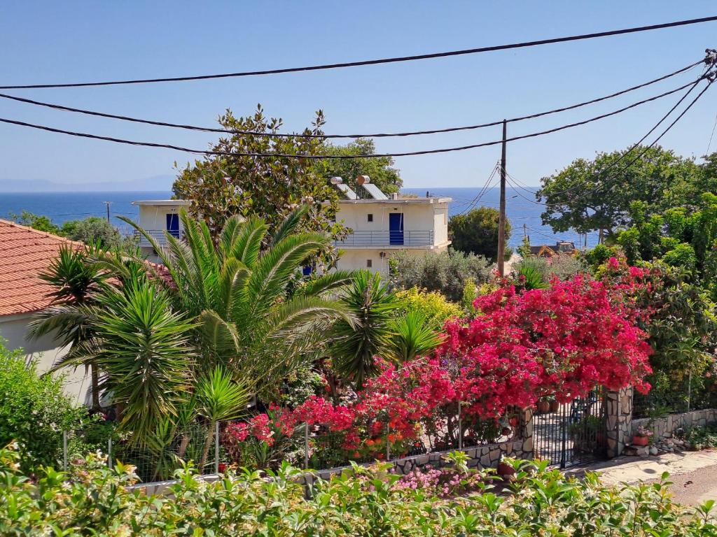 a house with flowers and plants in front of it at Nick's Apartments Evia in Achladi