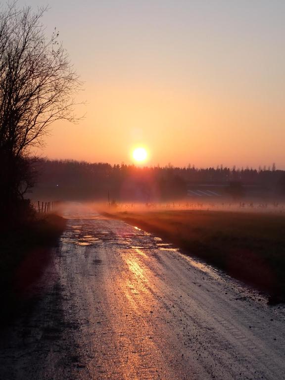 Východ nebo západ slunce při pohledu z venkovského domu nebo okolí