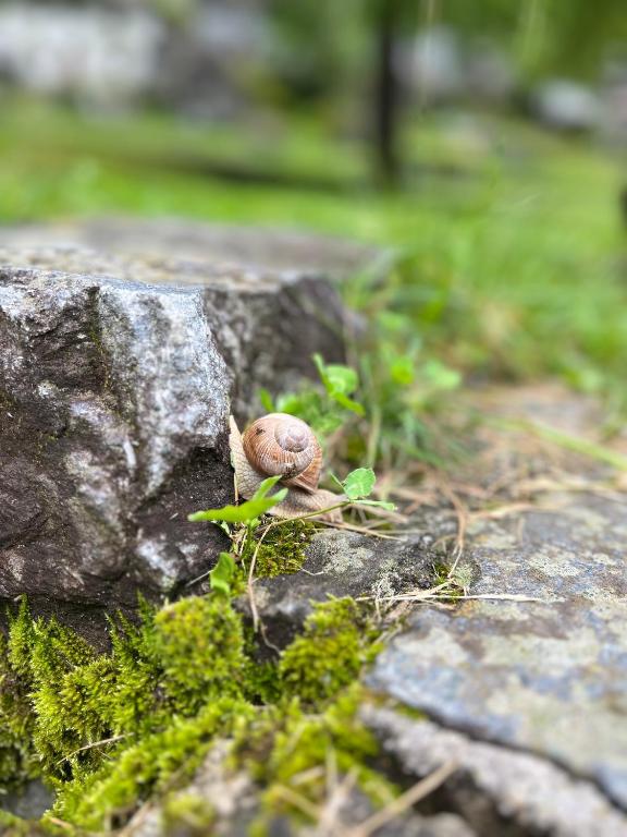 Fotografie z fotogalerie ubytování Grott Di Baloi v destinaci Cevio