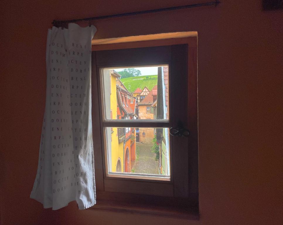 La Maison Bleue - Historic House in the Heart of Riquewihr – photo 24