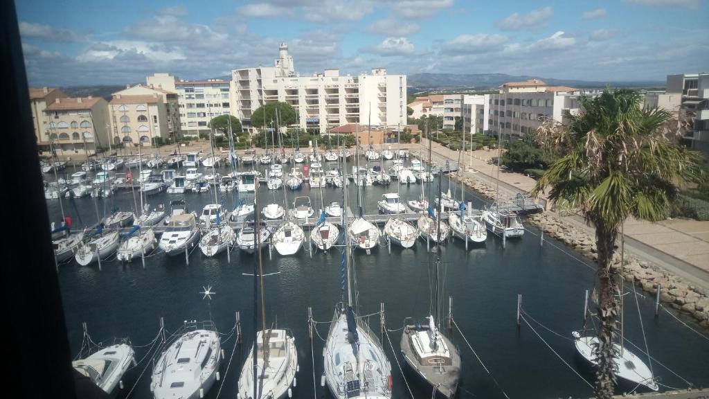a bunch of boats are docked in a harbor at Appartement sur le port vue mer in Leucate