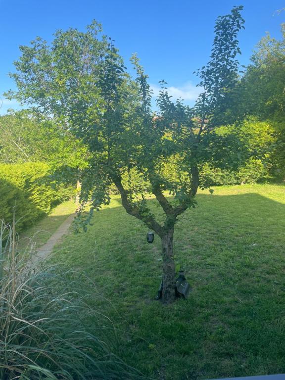 Photo de la galerie de l'établissement Gledkata, à Varna