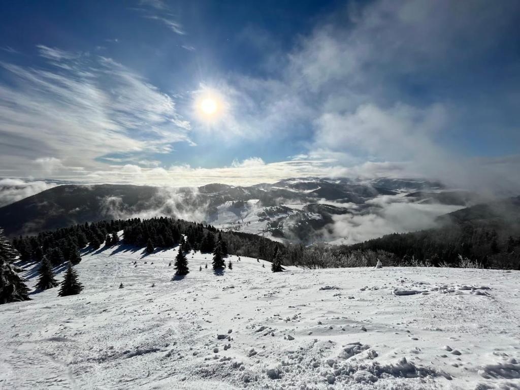 Apartmán pod Hoľou, Tatran-Donovaly during the winter