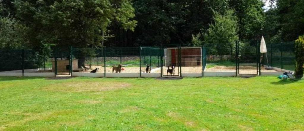 Zahrada ubytování Apartmán u Šimků