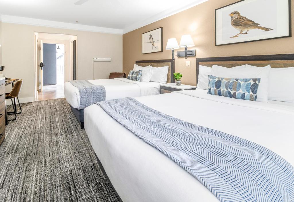 Inn At Mount Shasta - 2 Camas Queen Suite - No Fumadores