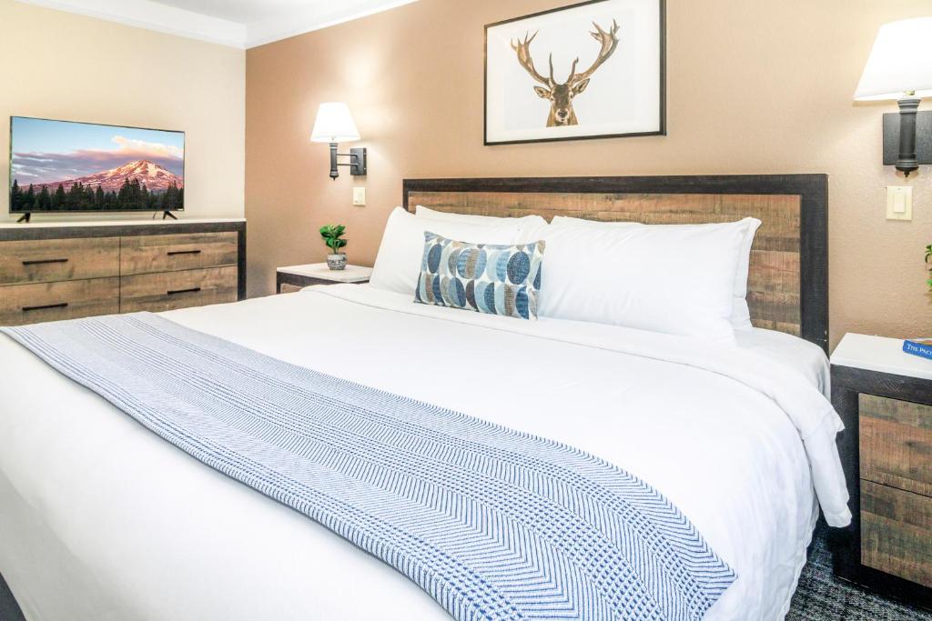 Inn At Mount Shasta photo