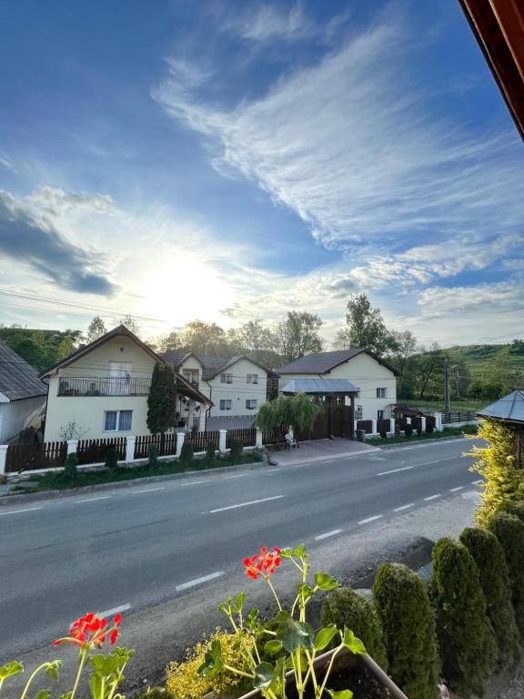 a view of a street with houses and flowers at Pensiunea Casa Godja in Văleni