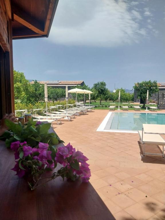Bazén v ubytování Agriturismo Lumia Resort nebo v jeho okolí