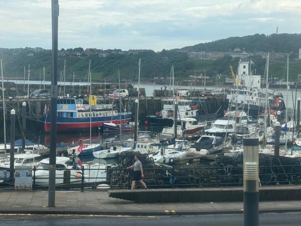 Ivy By The Sea - Resim 20