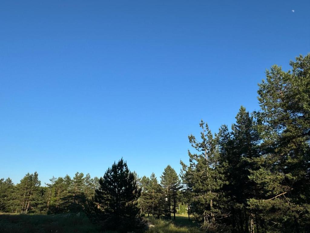 Příroda nedaleko apartmánu