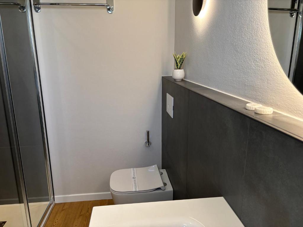 Vannituba majutusasutuses Robely rooms