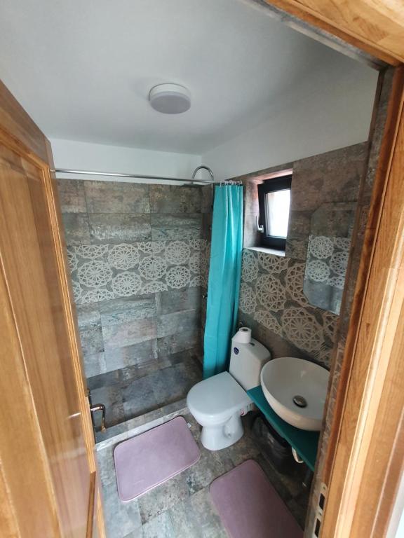 Koupelna v ubytování Casa Țache