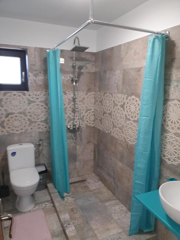 Koupelna v ubytování Casa Țache