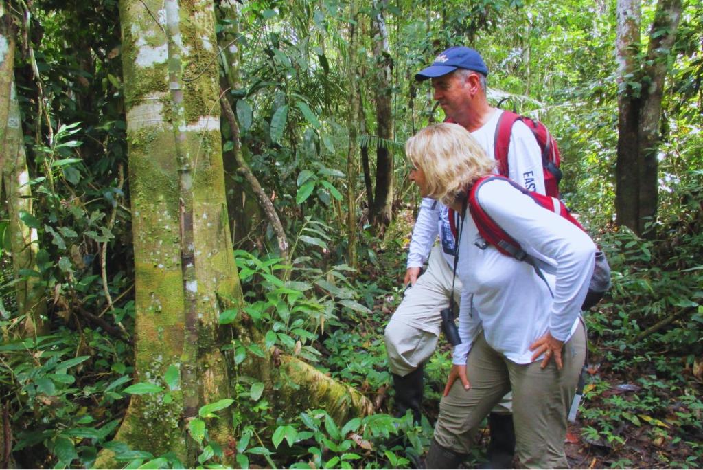 Hosté ubytování Amazon Curassow Lodge and Expeditions