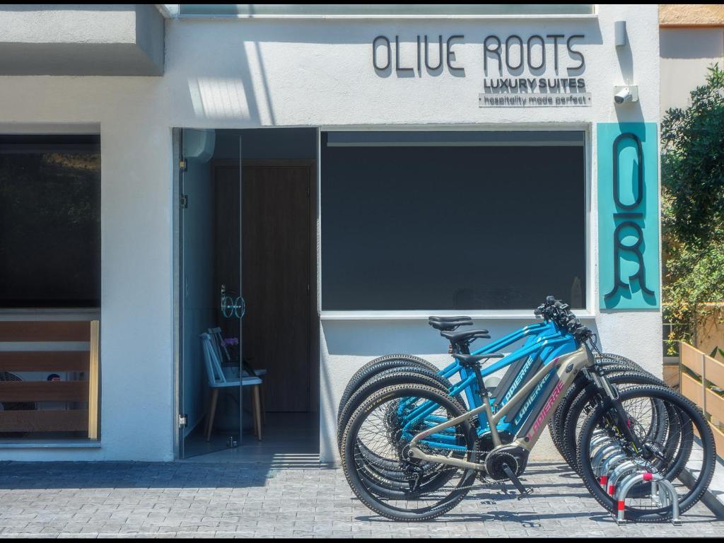 Jízda na kole v ubytování Olive Roots nebo okolí