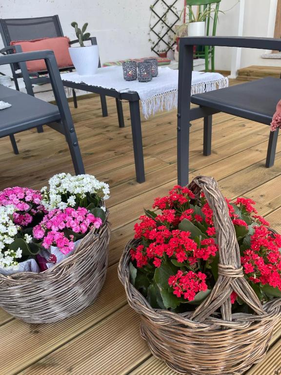 Fotografie z fotogalerie ubytování Rose e fiori v destinaci Teulada