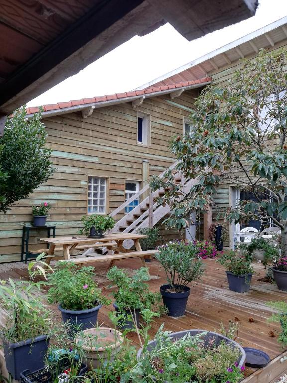 une terrasse avec des plantes en pot devant une maison dans l'établissement Maison Sophie, à Saint-Julien-en-Born