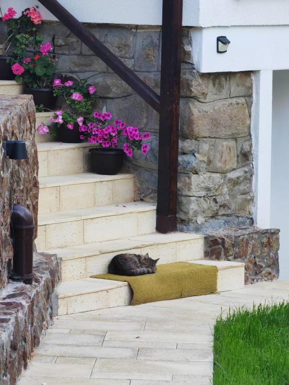 Zahrada ubytování Casa Tihna