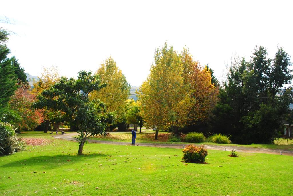 Zahrada ubytování Maclear Manor