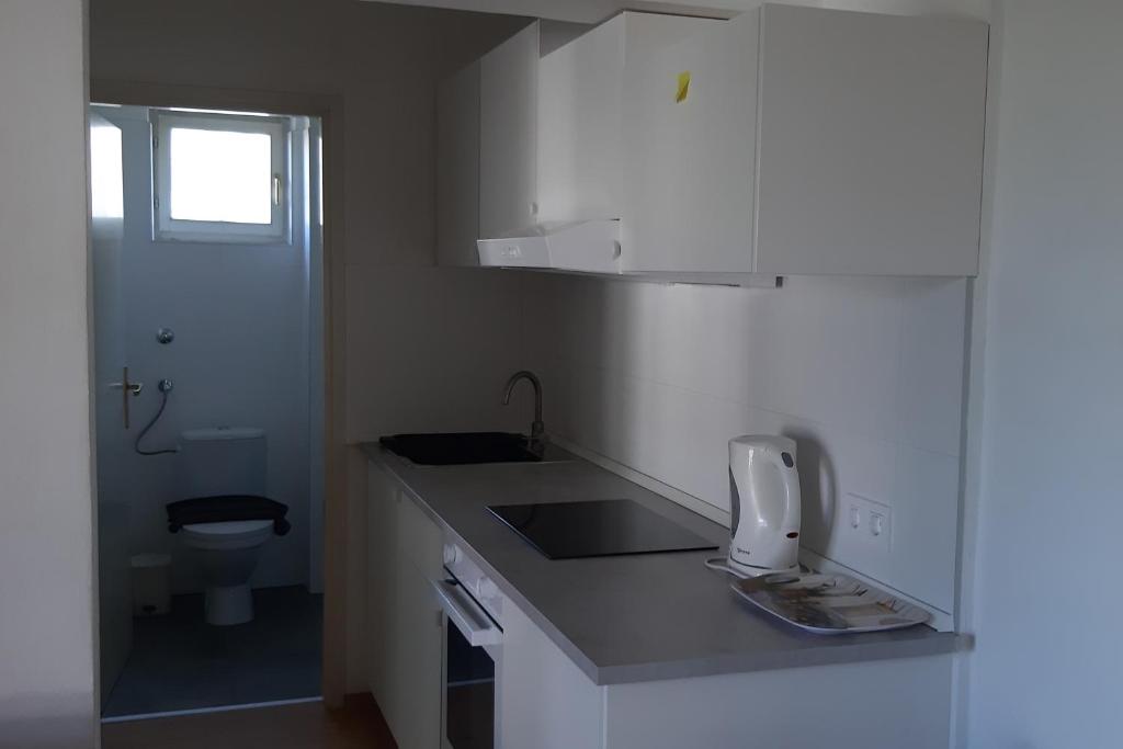 Kuchyňa alebo kuchynka v ubytovaní Apartments by the sea Selce, Crikvenica - 2372