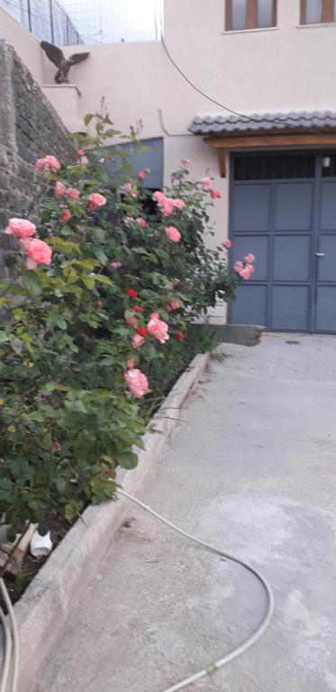 Fotografie z fotogalerie ubytování SHENA Guest House v destinaci Gjirokastër