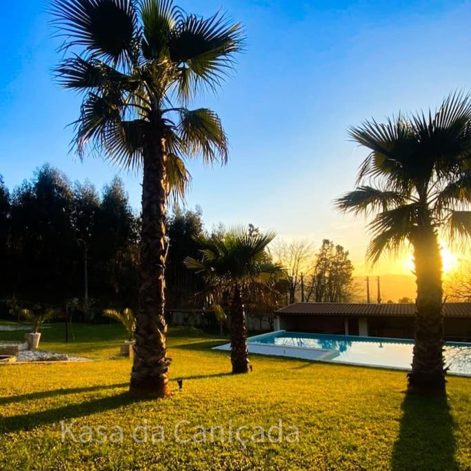a group of palm trees next to a swimming pool at Kasa da Caniçada - Gerês in Braga