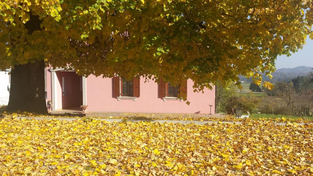 Fotografie z fotogalerie ubytování Merkež Guest House v destinaci Bizeljsko