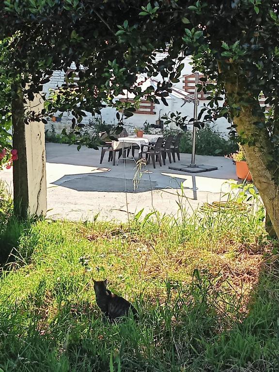 Vonkajšia záhrada v ubytovaní A casa do lajueiro